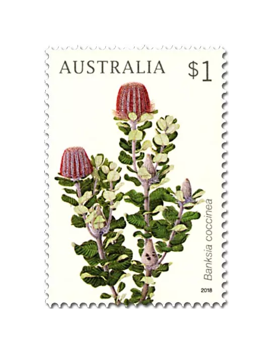n° 4566/4569 - Timbre AUSTRALIE Poste