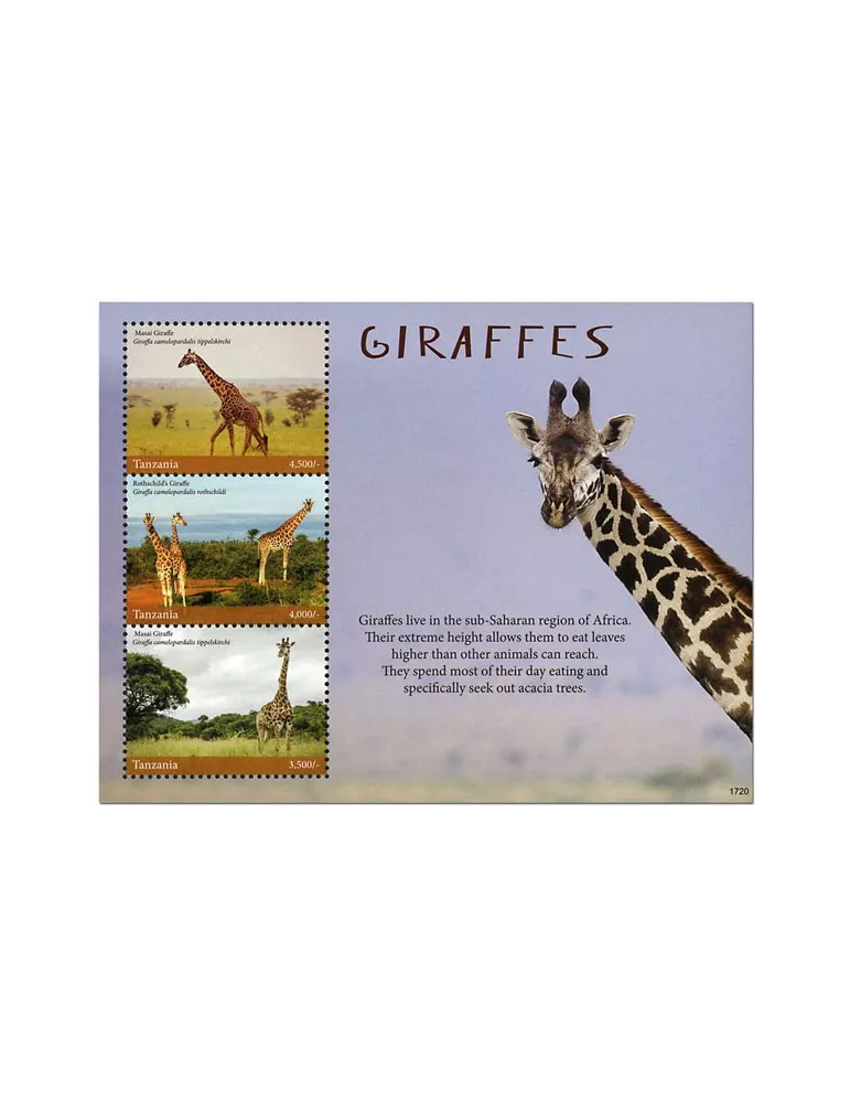 n° 4069/4071 - Timbre TANZANIE Poste