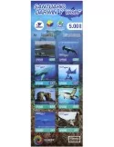 n° C2762 - Timbre EQUATEUR Carnets
