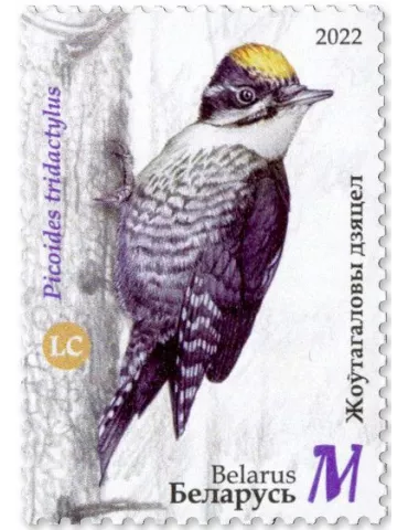 n° 1218/1222 - Timbre BIELORUSSIE Poste