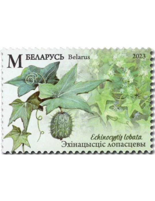 n° 1262/1265 - Timbre BIELORUSSIE Poste