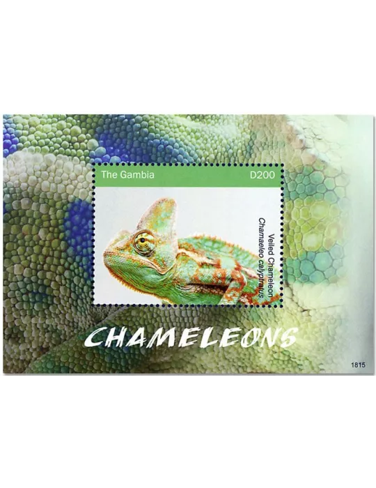 n° 904 - Timbre GAMBIE Blocs et feuillets