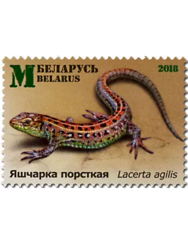 n° 1057/1059 - Timbre BIELORUSSIE Poste 2