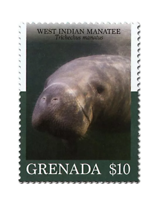 n° 6225/6230 - Timbre GRENADE Poste