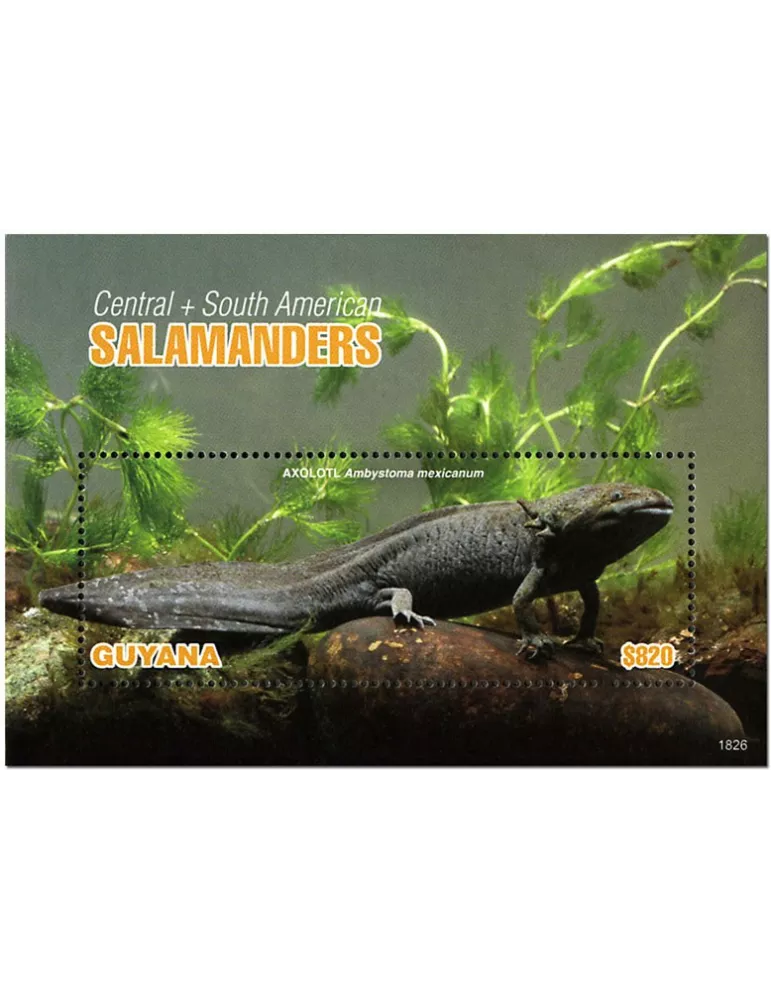 n° 668 - Timbre GUYANA Blocs et feuillets