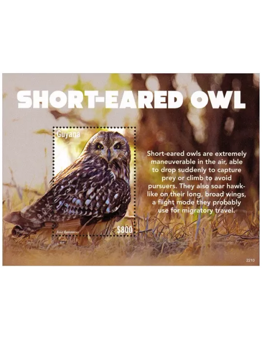 n° 730 - Timbre GUYANA Blocs et feuillets