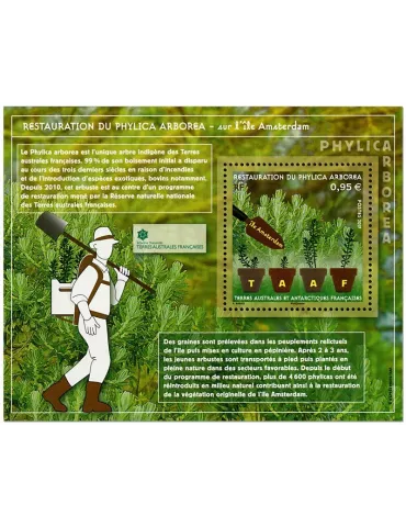 n° F903 - Timbre TAAF Poste