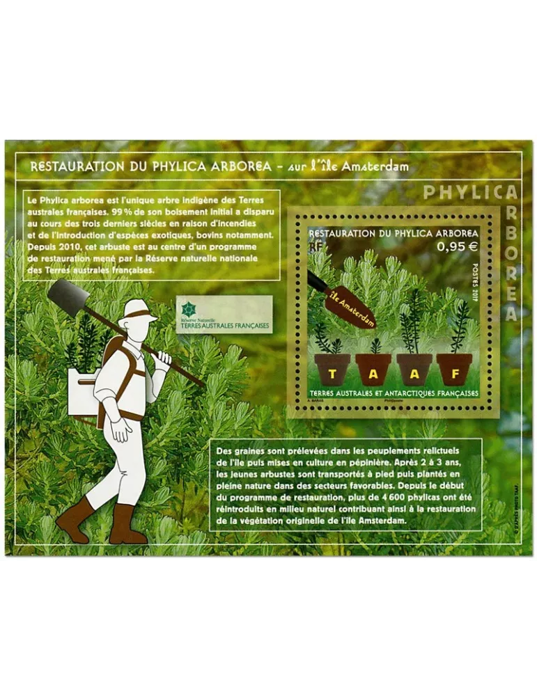 n° F903 - Timbre TAAF Poste