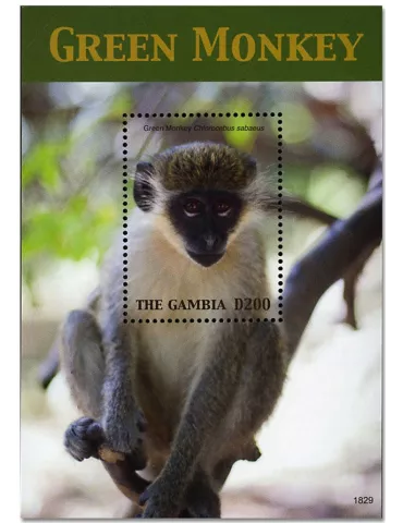 n° 914 - Timbre GAMBIE Blocs et feuillets