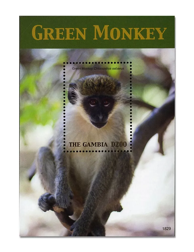 n° 914 - Timbre GAMBIE Blocs et feuillets