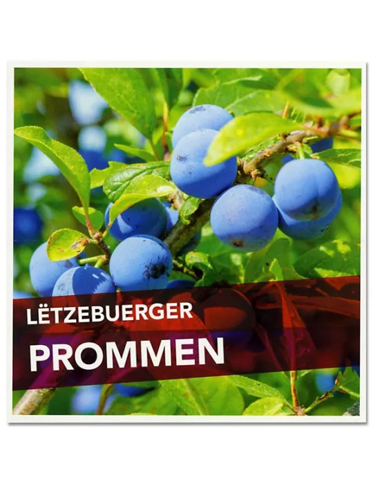 n° C2129 - Timbre LUXEMBOURG Carnets