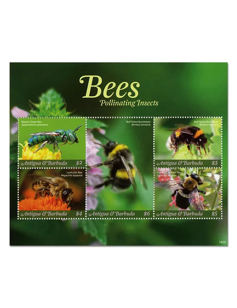 n° 4777/4781 - Timbre ANTIGUA Poste