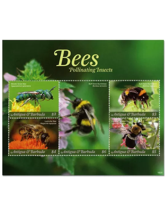 n° 4777/4781 - Timbre ANTIGUA Poste