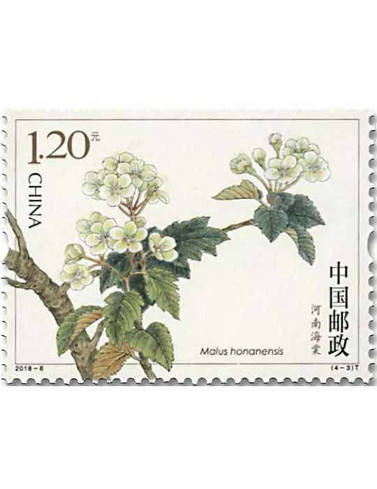n° 5507/5510 - Timbre Chine Poste