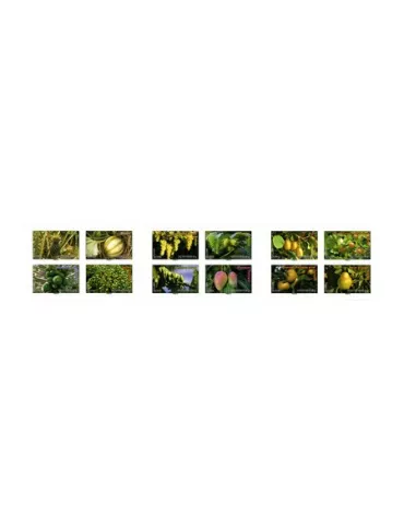 n° BC686 - Timbre France Carnets Divers