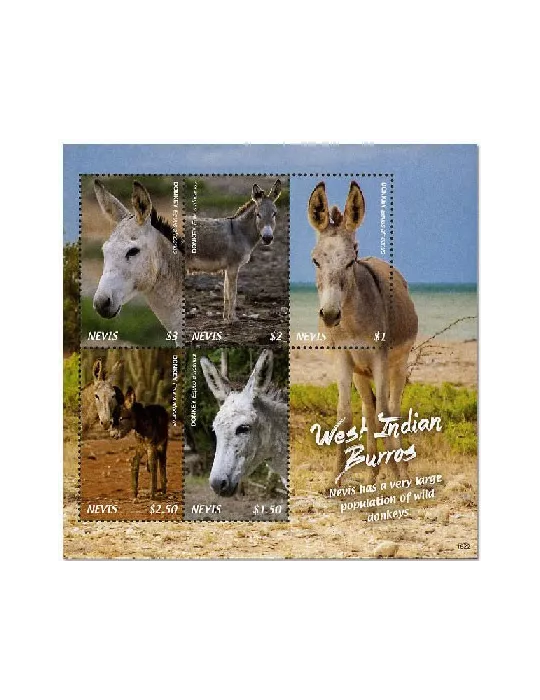 n° 2778/2782 - Timbre NEVIS Poste