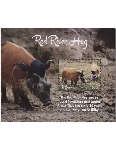 n° 918 - Timbre GAMBIE Blocs et feuillets