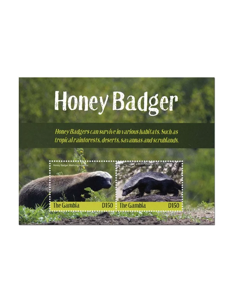 n° 923 - Timbre GAMBIE Blocs et feuillets