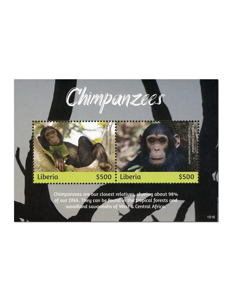 n° 782 - Timbre LIBERIA Blocs et feuillets