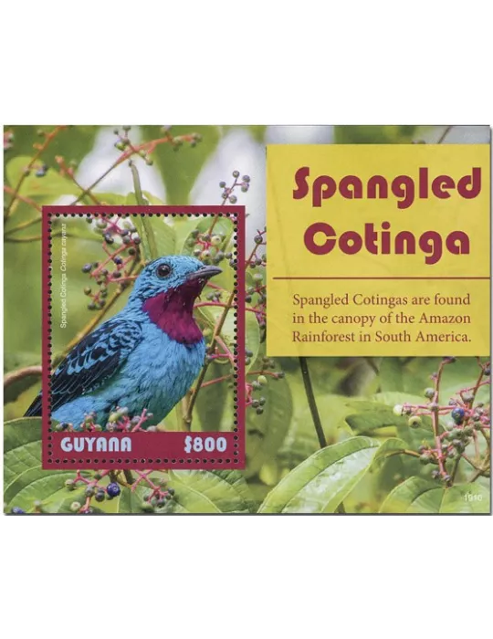 n° 685 - Timbre GUYANA Blocs et feuillets