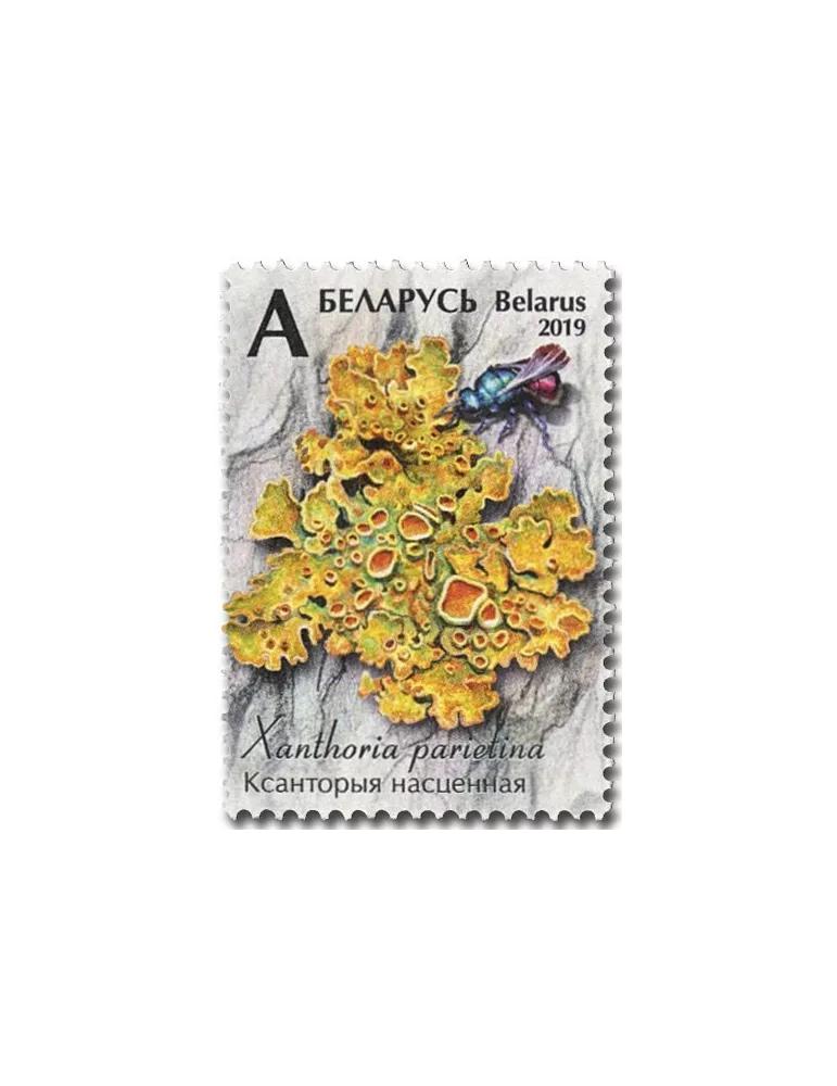 n° 1089/1091 - Timbre BIELORUSSIE Poste