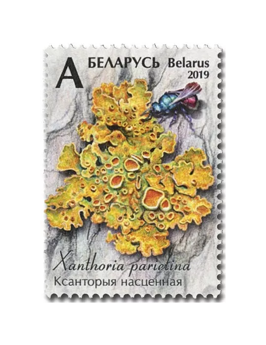 n° 1089/1091 - Timbre BIELORUSSIE Poste