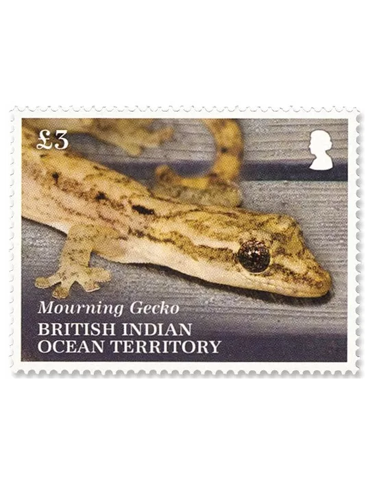 n°554/556 - Timbre OCEAN INDIEN Poste