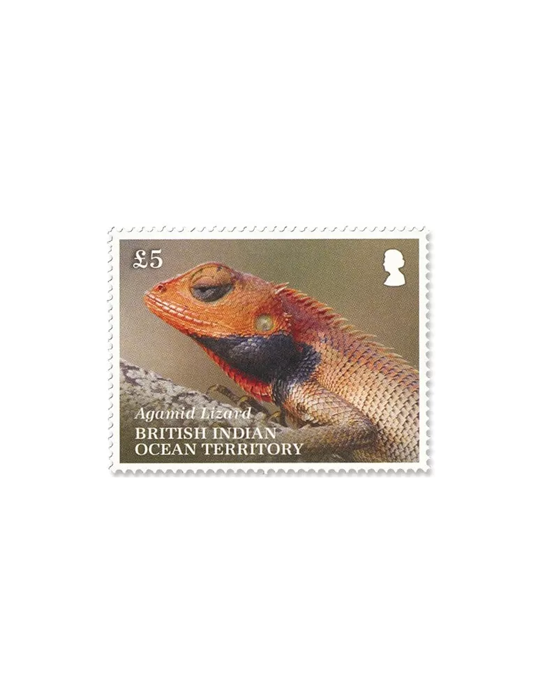 n°554/556 - Timbre OCEAN INDIEN Poste