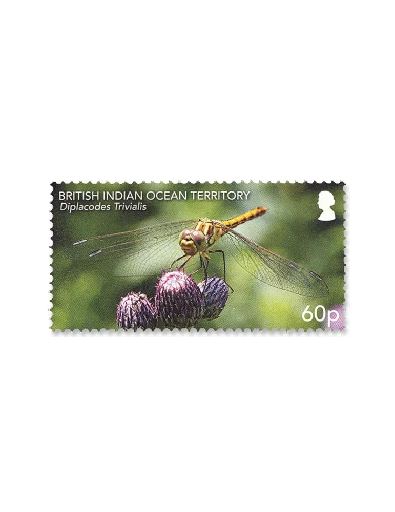 n°557/562 - Timbre OCEAN INDIEN Poste