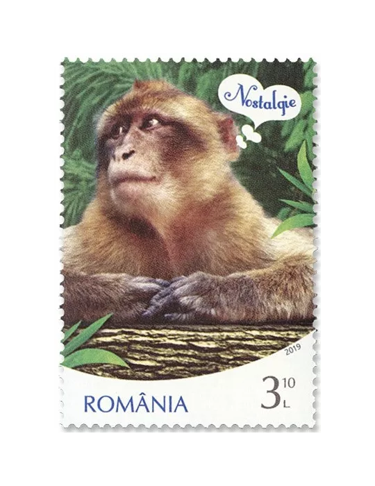 n°6503/6506 - Timbre ROUMANIE Poste