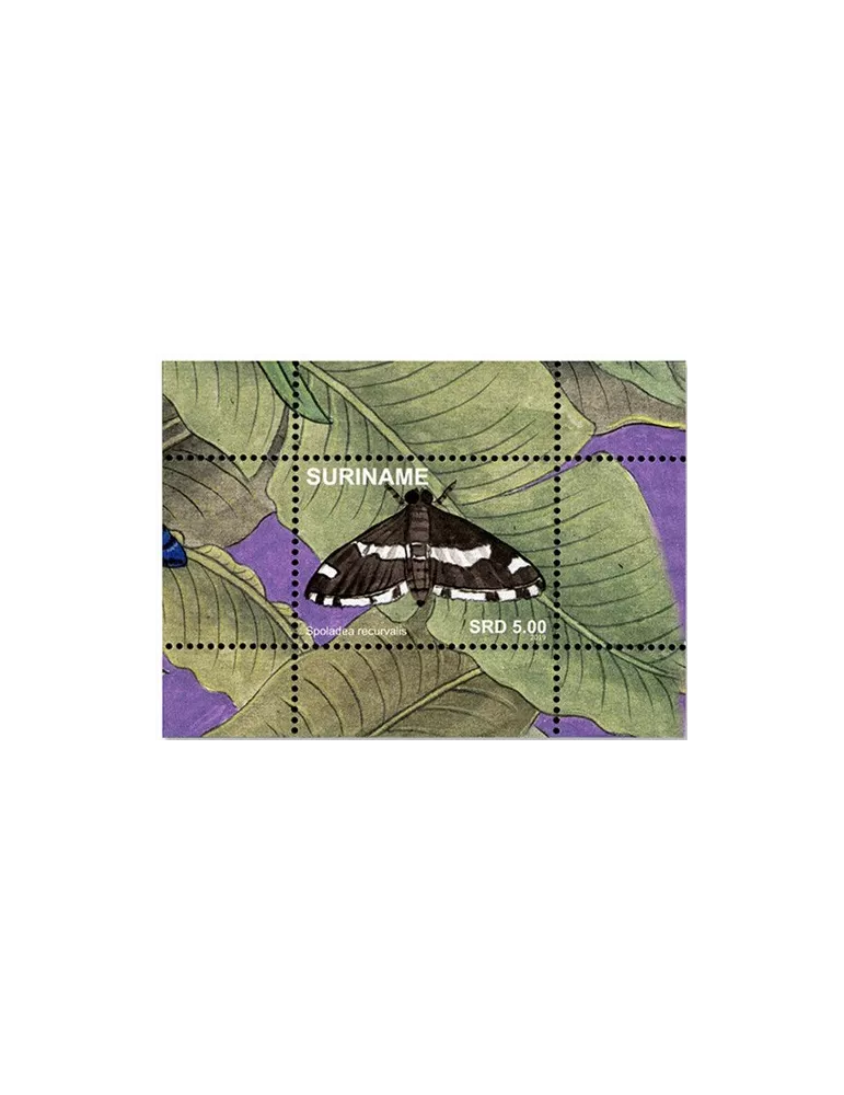 n°152/167 - Timbre SURINAM Blocs et feuillets