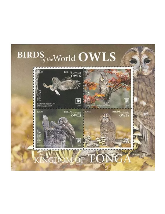 n°114 - Timbre TONGA Blocs et feuillets