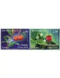 n° 482/483 - Timbre HERCEG-BOSNA Poste