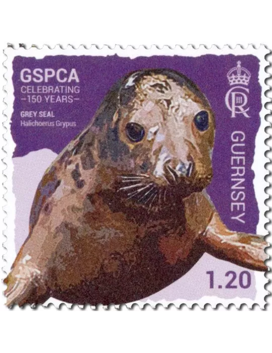 n° 2008/2013 - Timbre GUERNESEY Poste