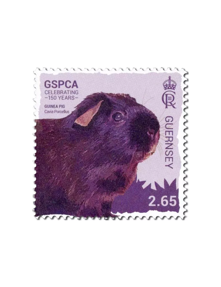 n° 2008/2013 - Timbre GUERNESEY Poste