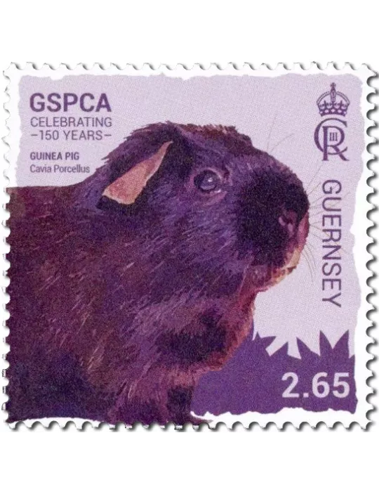 n° 2008/2013 - Timbre GUERNESEY Poste