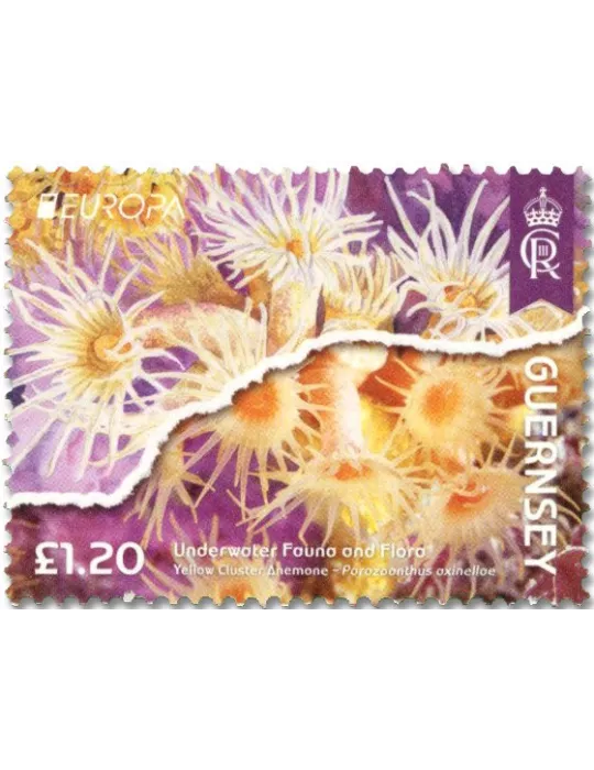 n° 2022/2025 et n° 2020/2021 - Timbre GUERNESEY Poste