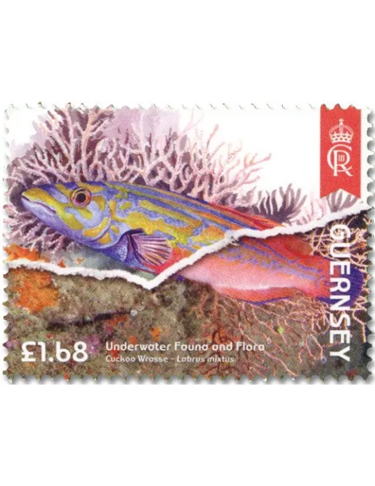 n° 2022/2025 et n° 2020/2021 - Timbre GUERNESEY Poste