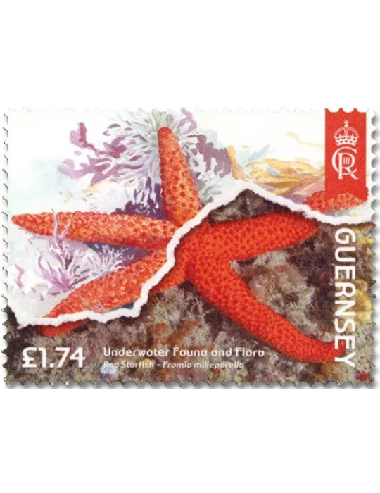 n° 2022/2025 et n° 2020/2021 - Timbre GUERNESEY Poste