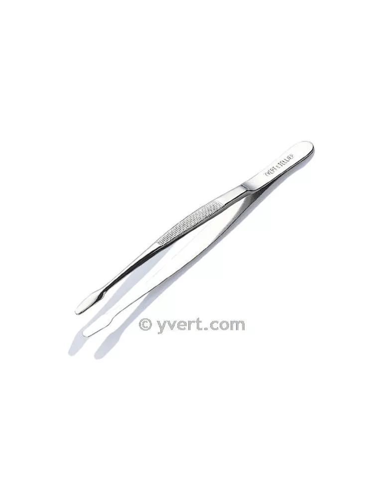 Kit Junior (avec Classeur Perfecta Grenat - Voyage au pays des Jardins S.Bern)