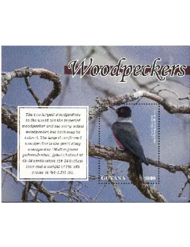 n° 688 - Timbre GUYANA Blocs et feuillets