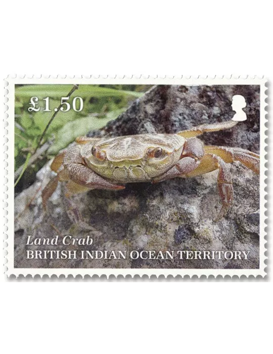 n° 563/567 - Timbre OCEAN INDIEN Poste