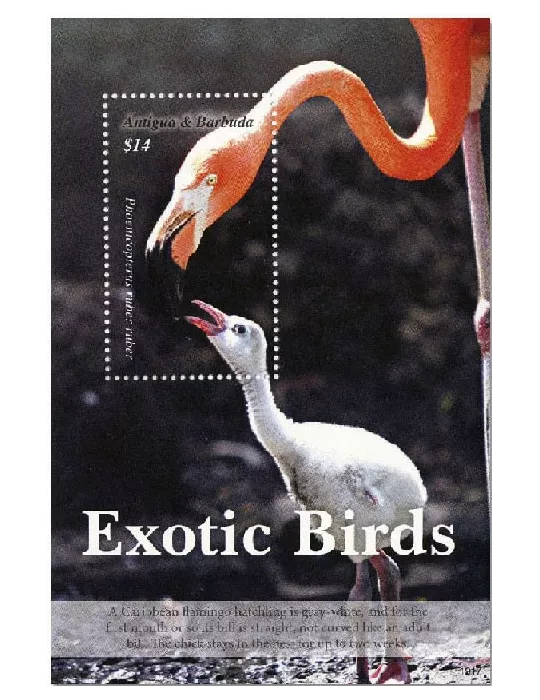 n° 793 - Timbre ANTIGUA Blocs et feuillets