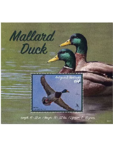 n° 797 - Timbre ANTIGUA Blocs et feuillets