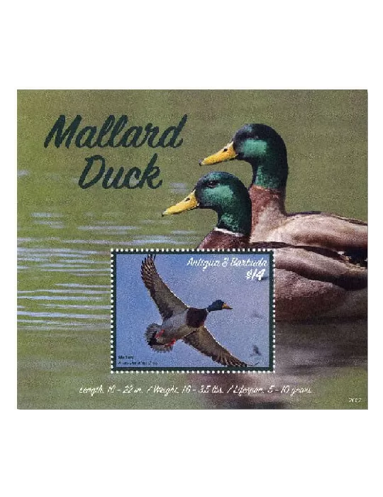 n° 797 - Timbre ANTIGUA Blocs et feuillets