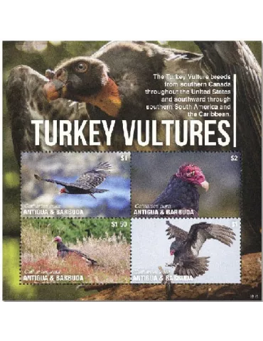 n° 4997/5000 - Timbre ANTIGUA Poste