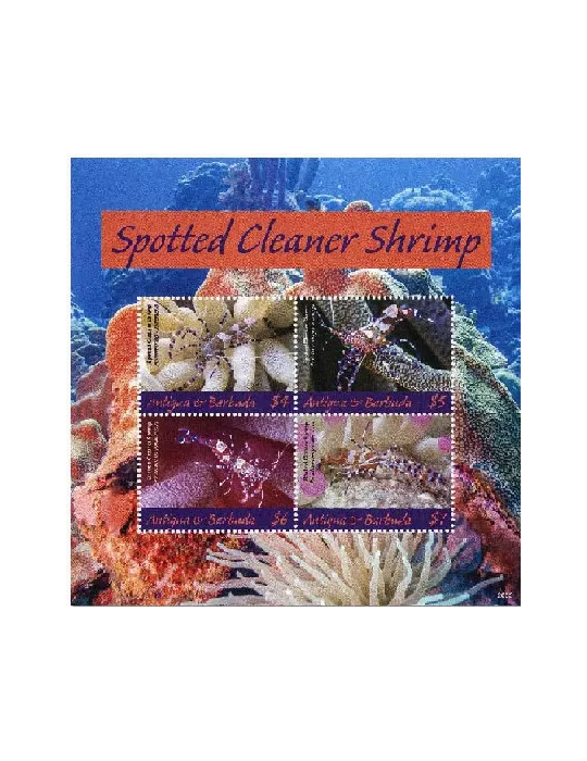 n° 5023/5026 - Timbre ANTIGUA Poste