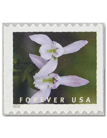 n° 5292a/5301a - Timbre ETATS-UNIS D´AMERIQUE Poste