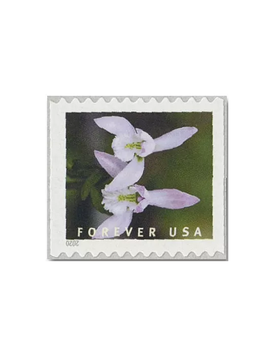n° 5292a/5301a - Timbre ETATS-UNIS D´AMERIQUE Poste