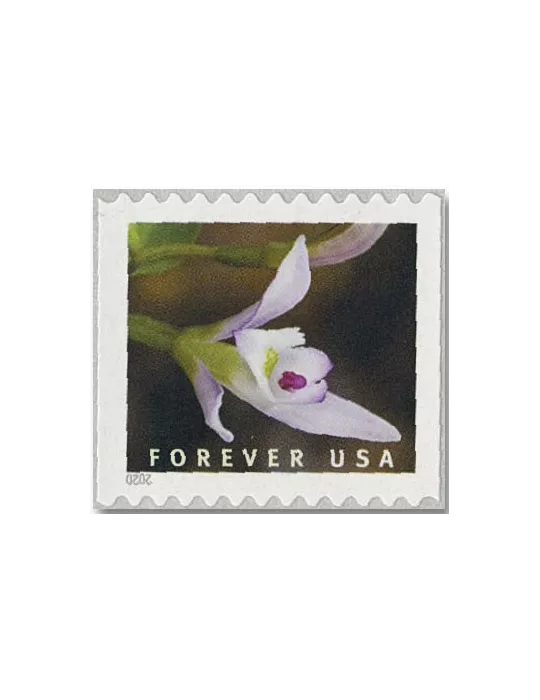 n° 5292a/5301a - Timbre ETATS-UNIS D´AMERIQUE Poste